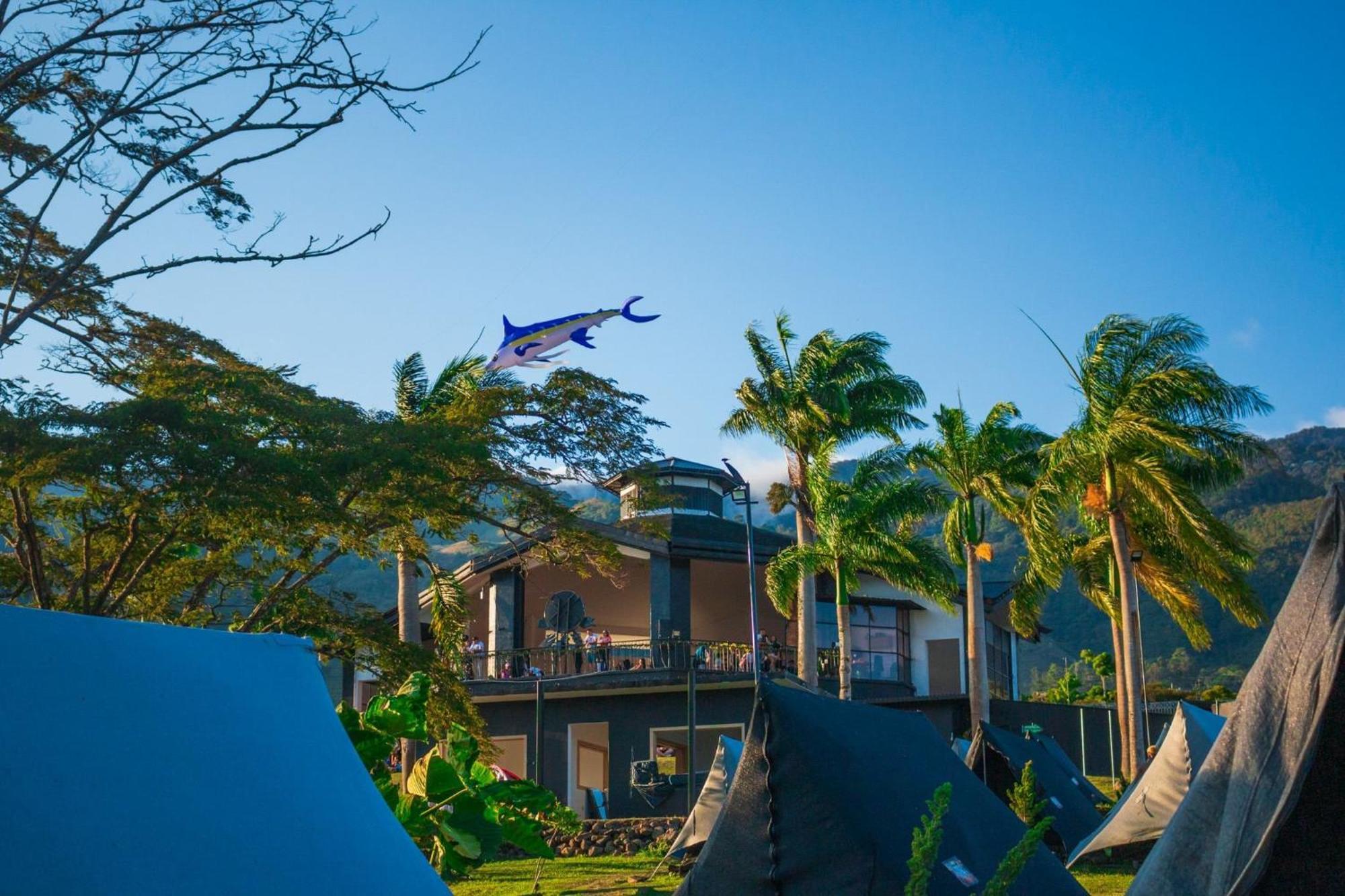 Mystic Paradise Darien