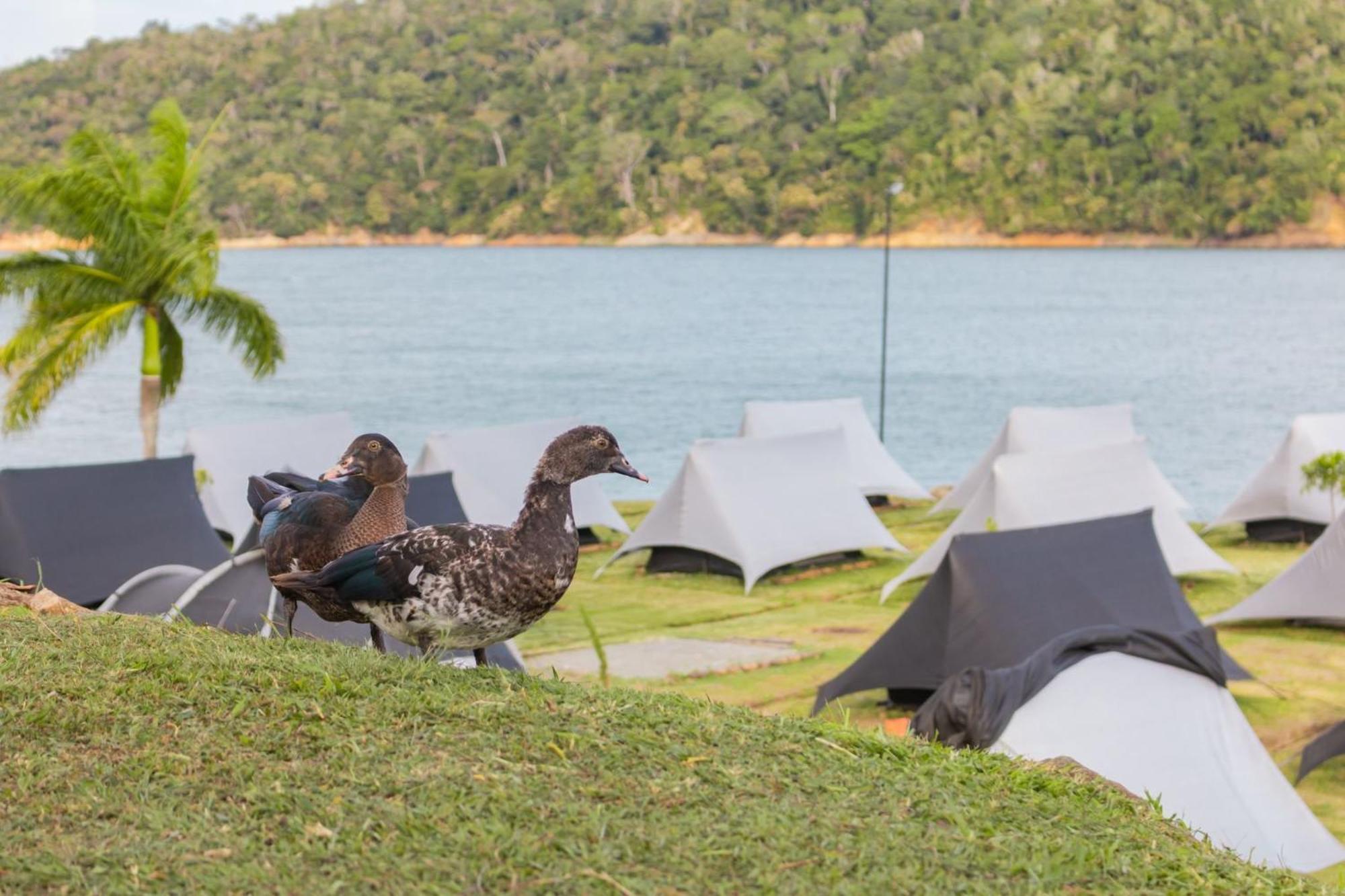 Mystic Paradise Darien Calima